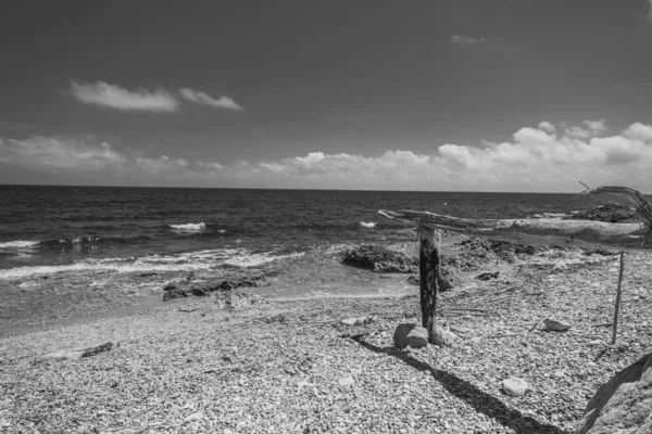 海岸に森のあるビーチの白黒画像 — ストック写真