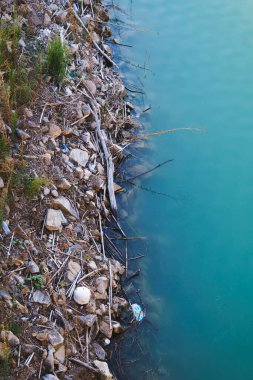 Edge of a lake with the image split with water and land.