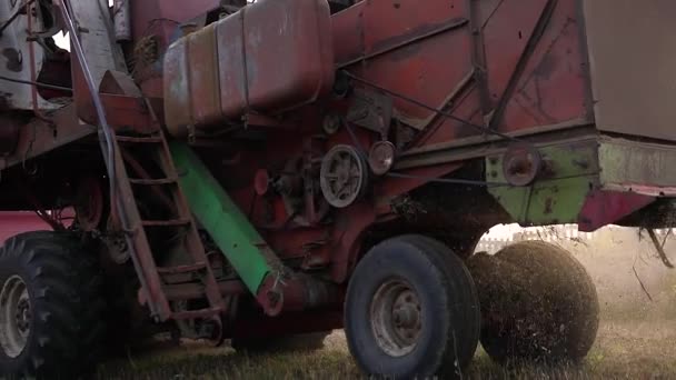 Alte Rote Erntemaschine Auf Einem Großen Gelben Feld Mähdrescher Sammelt — Stockvideo