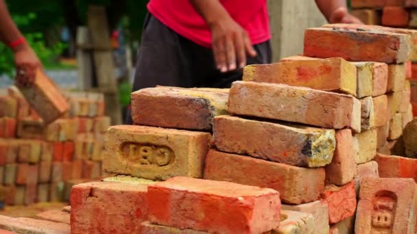 Indische Bauarbeiter laden Ziegel von Traktor auf Baustelle bei Jaipur ab — Stockvideo