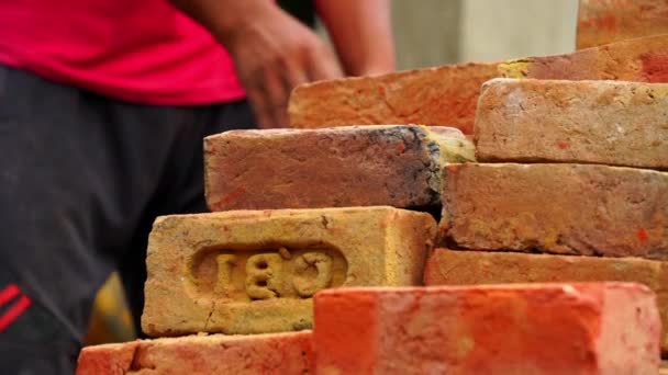 Indiska familjemedlemmar lossar tegelstenar från traktorn på byggarbetsplatsen nära Jaipur — Stockvideo