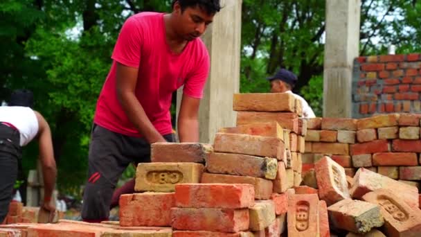 Indische Familienmitglieder laden Ziegel von Traktor auf Baustelle bei Jaipur ab — Stockvideo