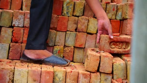 Trabalhadores da construção indianos descarregando tijolos de trator no local perto de Jaipur. Clipe de câmera lenta. — Vídeo de Stock