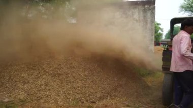 Modern teknoloji, Hintli aile üyeleri saha çalışması yapıyor. Tarımsal alanda kurutulmuş Sorghum bitkileri veya Millet ve Çimlerin kesilmesi.