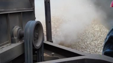 Harman makinesiyle kuru otları kesiyorum. Hindistan çiftlik evinde evcil hayvanlar için kuru yem..