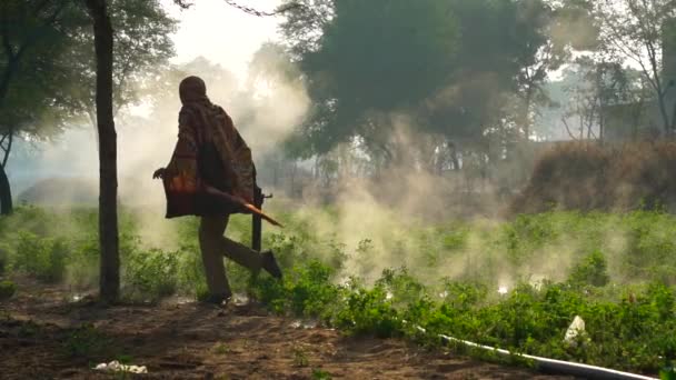 Winter Season Asian Farmer Working Green Field Water Steam Water — Vídeo de Stock