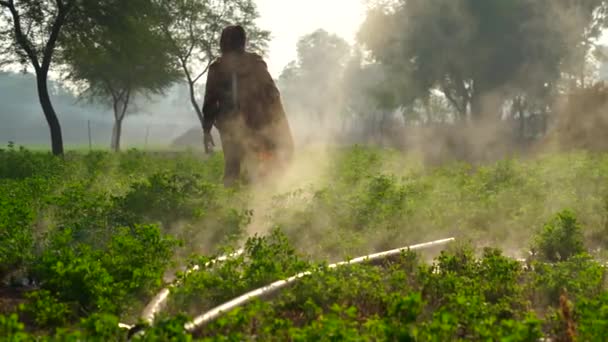 Indian Farmer Changes Flow Water His Field Silhouette View Scene — Vídeo de Stock