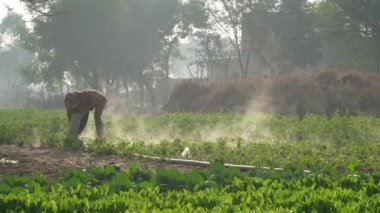 Winter season, Asian farmer working in green field and water steam or water smoke  background.