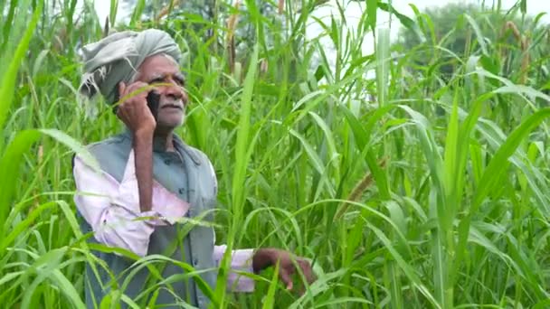 Ινδός Παλαιωμένος Αγρότης Smartphone Αγροτική Ινδία Αγρότης Παίρνει Γιο Του — Αρχείο Βίντεο