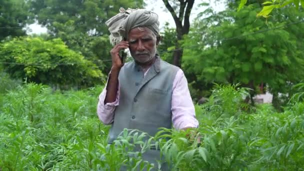 Indischer Betagter Bauer Mit Smartphone Rural India Landwirt Bringt Seinen — Stockvideo