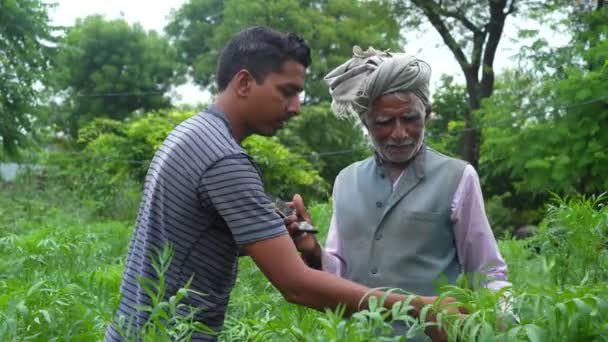 Dva Zemědělci Stojící Zelené Louce Pomocí Dotykové Podložky Pro Kontrolu — Stock video