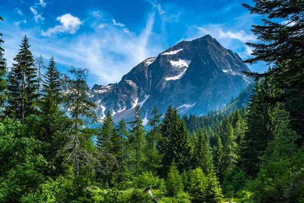 Güneşli bir yaz gününde arka planda Malinvern Dağı olan karavanlar. Deniz Alpleri, Cuneo.