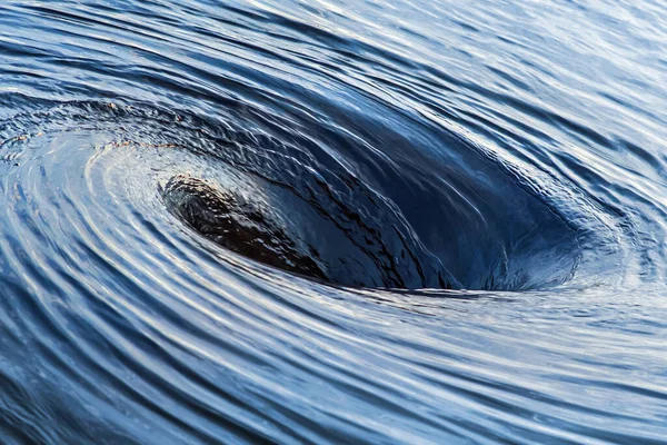 Der Reißende Strudel Riesiger Whirlpool Auf Der Wasseroberfläche Wasserspinnen — Stockfoto