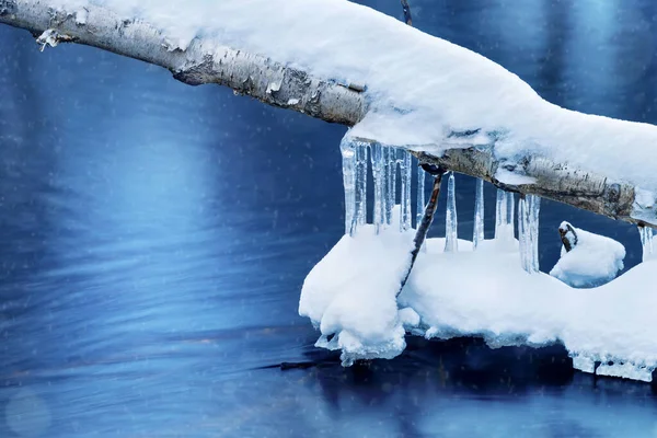 Jégcsapok Faágon Jégcsapok Víz Felszíne Felett Nyírfa Törzsén — Stock Fotó