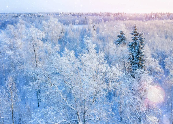 Paesaggio Invernale Vista Aerea Paesaggio Colorato Con Foresta Gelida Nel — Foto Stock