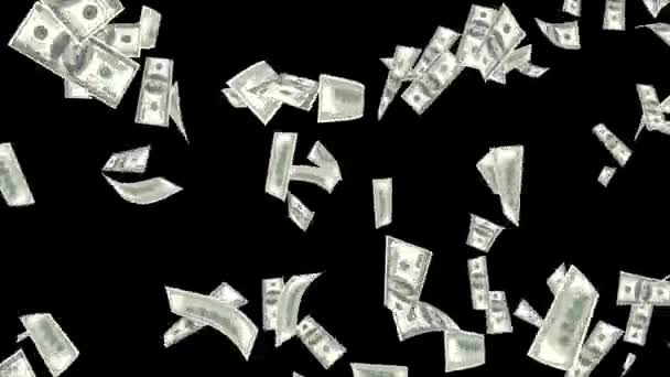 Padající dolarové bankovky Bezešvé smyčky Animace pozadí. Zahrnutá zelená obrazovka. — Stock video