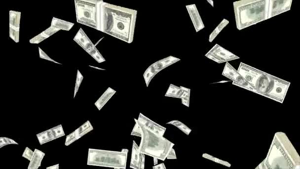 Digital animation of raining money on Black Loop background. — Stock Video