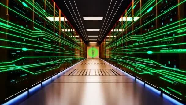 Digital Network of connections and data processing server room Loop Background. — Stock video