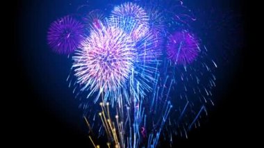 Gece Döngüsü Arkaplanında Güzel Renkli Havai fişekler Parlak Ekran.