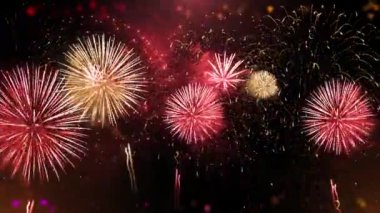 4K Gerçek Havai fişek Patlaması Smoke Foggy Siyah Hareket Arkaplan döngüsü