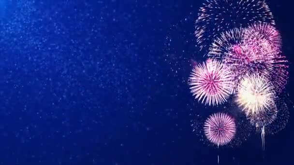 Bela exibição brilhante de fogos de artifício coloridos no fundo do laço noturno. — Vídeo de Stock