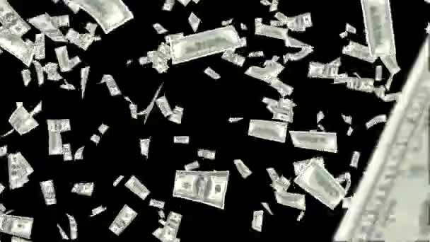 3D płynna pętla krypto waluty pieniądze spada Pętla cyfrowe tło. — Wideo stockowe