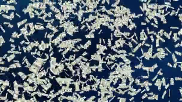4K tło pętli spadających banknotów dolarowych. Płytka głębokość pola. Zielony ekran. — Wideo stockowe
