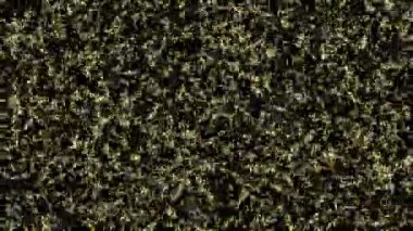 Yaz doğasında uçan Arı Böceğinin 4K Döngüsü. Böceklerin arı ailesi.