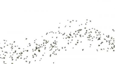 Arı küveti. Arı kovanında çok çalışan bal arısı sürüsü. Bal arıları yeşil arka planda uçar.