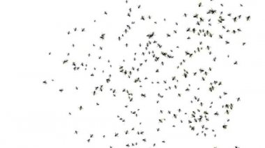 Kovan üzerinde uçan arı. Arı kovanı ya da arı kovanının arka planında kocaman bir bal var. Bal arıları