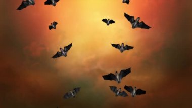 Cadılar Bayramı Festivali Yarasalar Grup Uçuyor ya da Yarasalar Uçuyor 4K Döngü Canlandırması