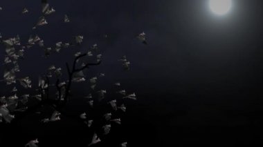 Cadılar Bayramı siyah uçan yarasalar Yeşil arka planda döngü animasyonu,