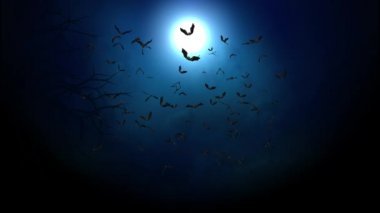 Cadılar Bayramı Gecesi Animasyonu 'nun 4K döngüsü. Uçan Yarasalar Cadılar Bayramı Festivali