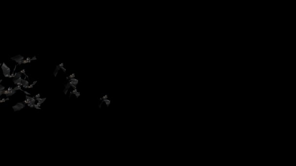 Yarasa Animasyonu Cadılar Bayramı Kara Yarasalar Yeşil Ekran Arkaplanında Uçan 4K. — Stok video