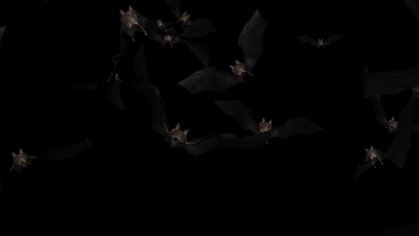Flying Bats Animatie met zwart groen scherm Loop Halloween vleermuizen Achtergrond. — Stockvideo