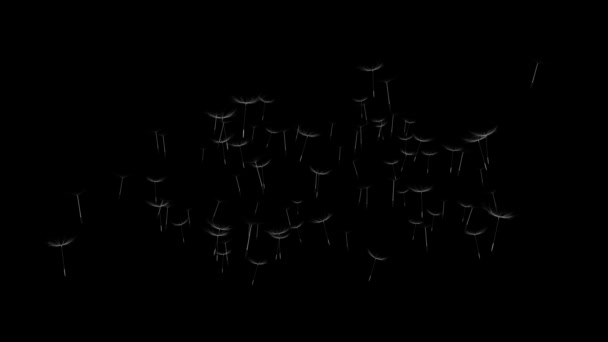민들레가 자라고 바람에 날려 가는 씨가 바람에 날려 가는 모습 4K 애니메이션. — 비디오