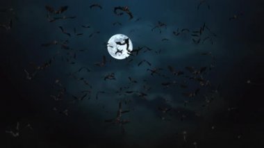Yeşil ekran arka planında uçan 4K animasyonlu Cadılar Bayramı Kara Yarasaları