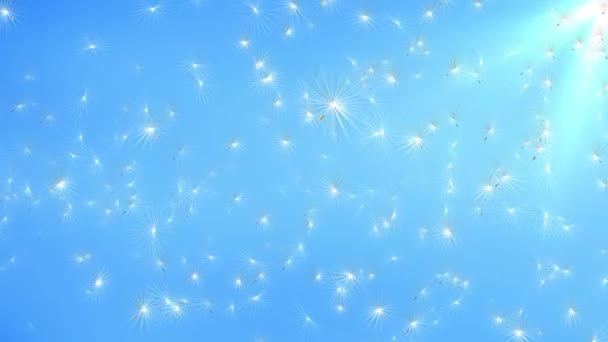 Футуристичні насіння кульбаби літають у вітрі проти нічного неба. Поле кульбаби на фоні блакитного неба . — стокове відео