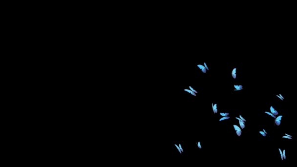 4K Loop Animation Bakgrund av flygande fjäril på den blå skärmen. — Stockvideo