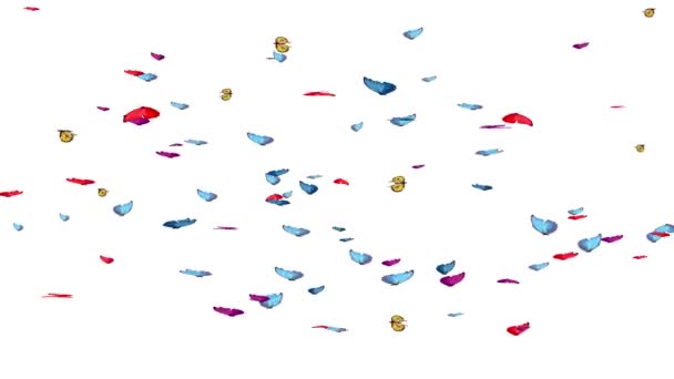 Belle animation design printemps et été avec des papillons sur écran Grenn Fond de boucle — Video