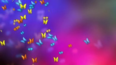 Uçan kelebekler. Renkli kelebek döngüsü yeşil ekran arka planı. Bahar ve yaz böcekleri.