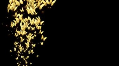 Güzel Renkli Kelebekler Morpho Menelaus Ekrana Uç Uzaklara Yeşil Ekran Arkaplanına Uç.