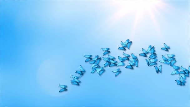 Mavi kral kelebeği sürüleri yeşil ekran perdenin üzerinde uçuyor., — Stok video