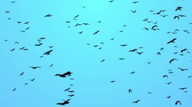 Binlerce ötücü kuş gökyüzünün arka planında uçarak vincin üzerinde uçuyor..