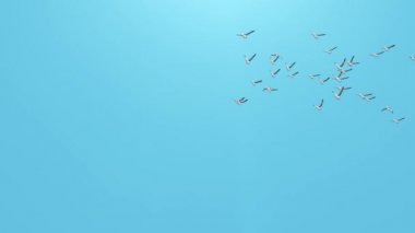 Arka planda bir grup martı rüzgâr gökyüzüne doğru uçuyor.,