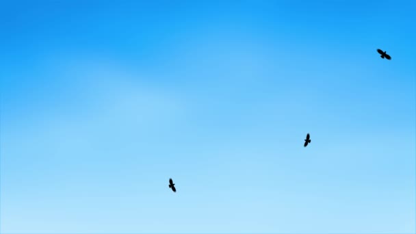 Panoramatický pohled z létajících ptáků Cestování ve vzduchu ve volné přírodě Loop Bckgrounds. — Stock video