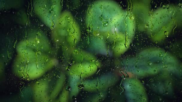 4k Loop Animation Hintergrund von Regentropfen, die mit grünem Bildschirm herunterfallen. Winterwetter — Stockvideo