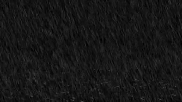 4k Loop Animation background of Rain Drops Falling down with green screen. Winter season weather — Stock Video