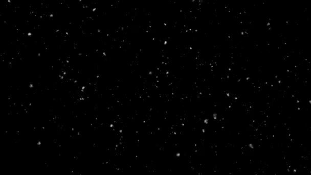 Branco confete flocos de neve e bokeh luzes sobreposição de neve, preto Loop fundo — Vídeo de Stock