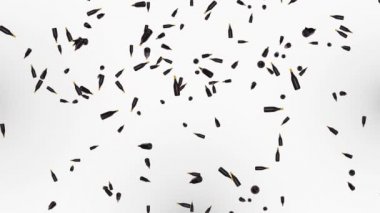 Bira şişeleri Alfa Matte Alkol içecekleri konseptiyle yeşil ekrana düşüyor..